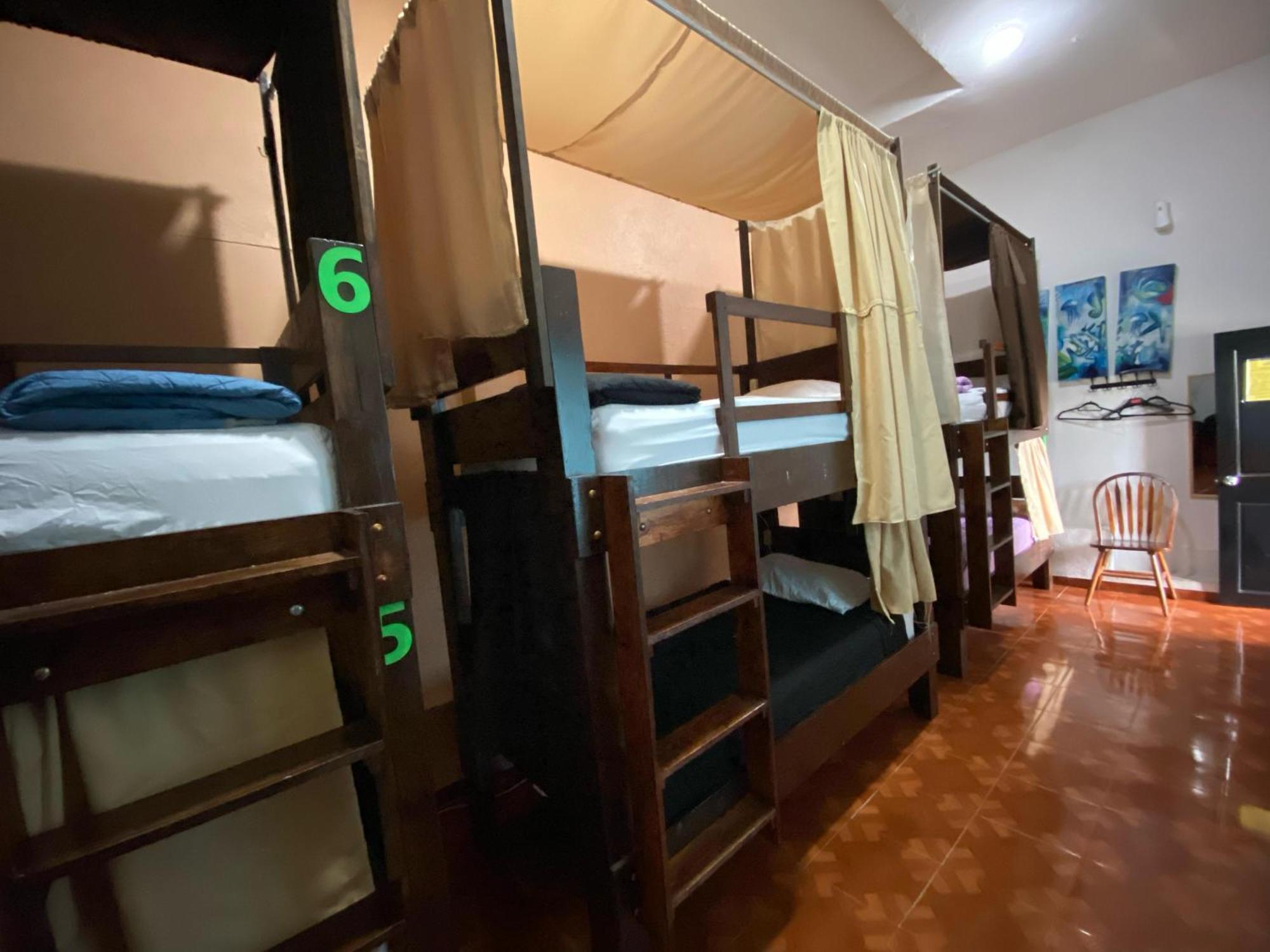 My Family In Monterrey - Hostel ภายนอก รูปภาพ