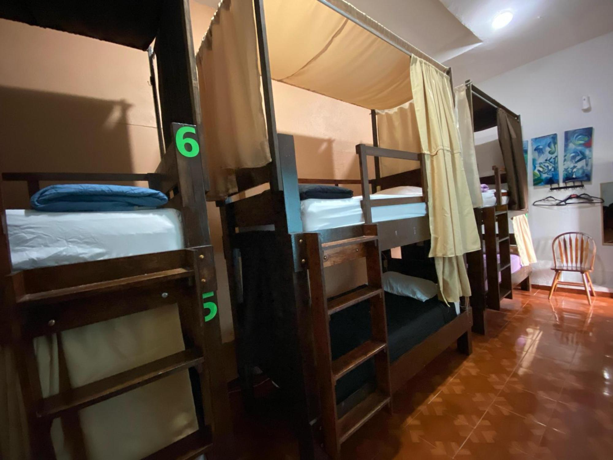 My Family In Monterrey - Hostel ภายนอก รูปภาพ